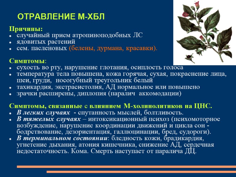 ОТРАВЛЕНИЕ М-ХБЛ  Причины:  случайный прием атропиноподобных ЛС  ядовитых растений  сем.